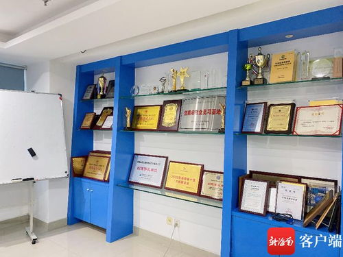 海南藍(lán)點(diǎn)獲評(píng)省級(jí)專精特新中小企業(yè)，軟件開(kāi)發(fā)領(lǐng)域再添新動(dòng)能