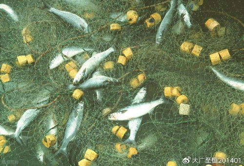 AquaTech 2026 馬來(lái)西亞漁業(yè)展覽會(huì) 領(lǐng)航漁業(yè)新紀(jì)元，驅(qū)動(dòng)畜牧漁業(yè)飼料銷(xiāo)售創(chuàng)新